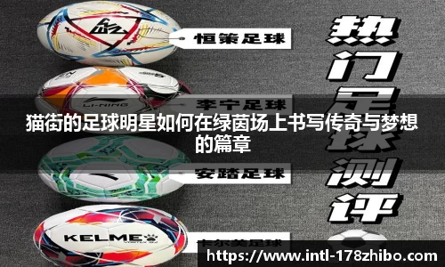 猫街的足球明星如何在绿茵场上书写传奇与梦想的篇章